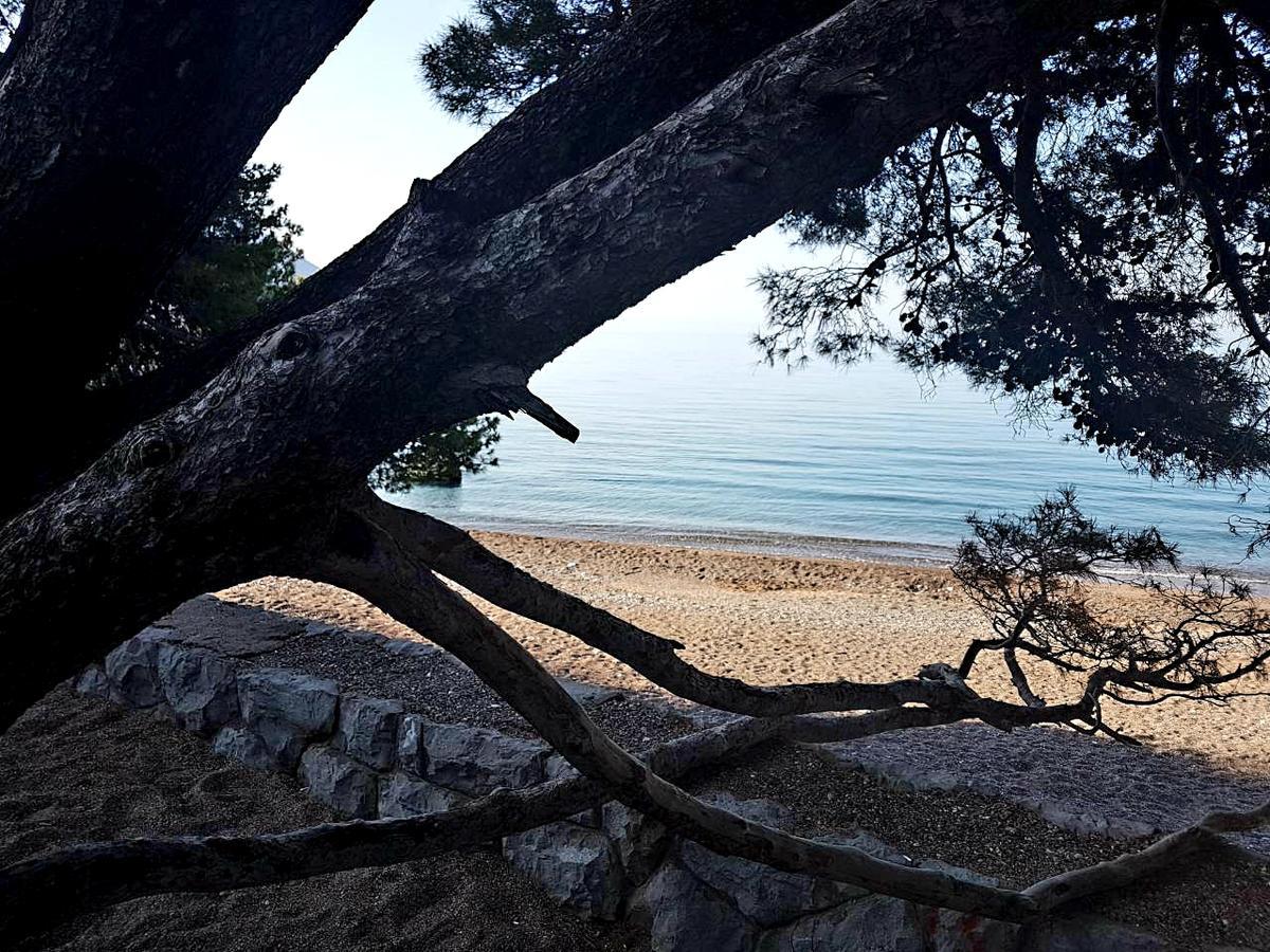Luxury Becici * Budva